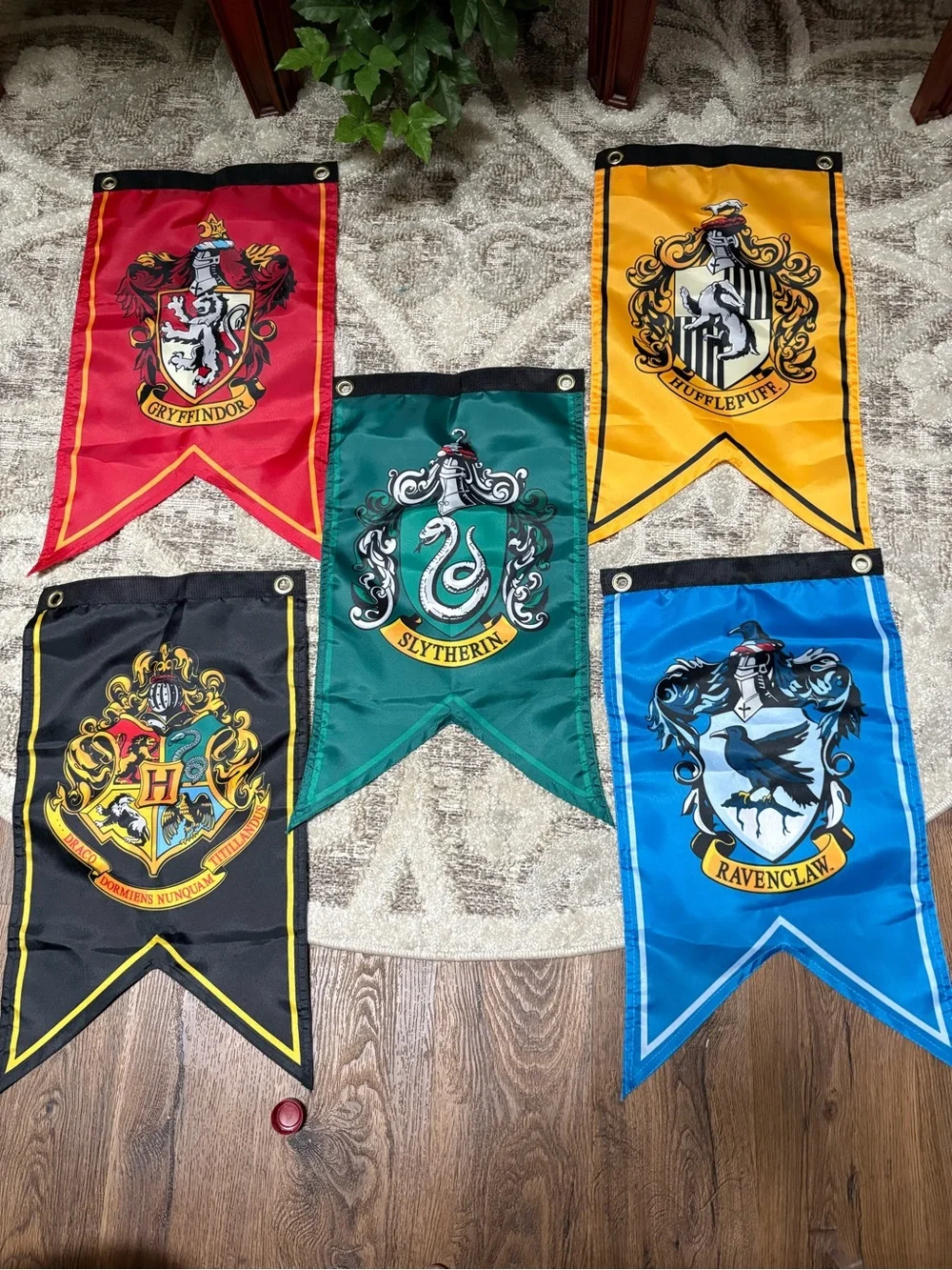 House Crest Banner Set - Red, Yellow, Green, Blue, Black - Party & Room Decor